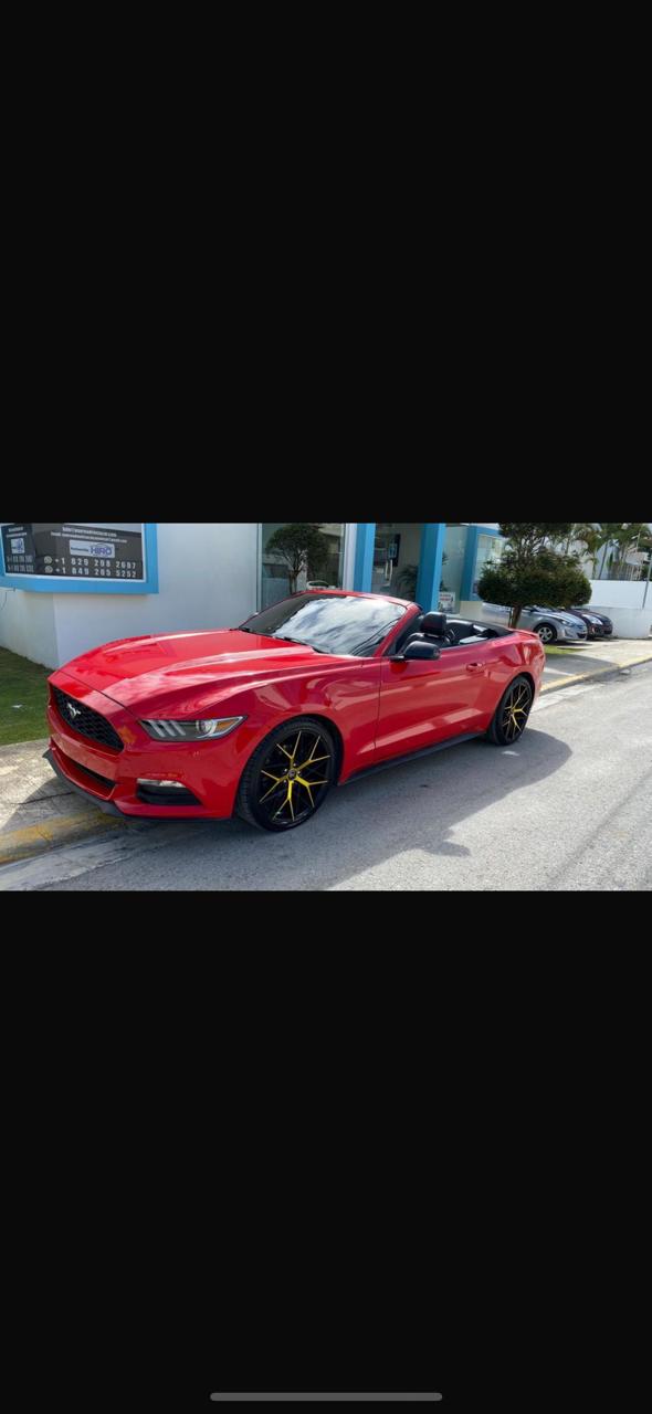 Self-Drive Rental in Punta Cana