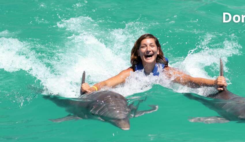 The Dolphin Ocean Tour: Dive into Dolphin Paradise in Punta Cana
