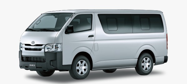 Techo Alto y Techo Bajo Transfer 9 a 12 Pax in Punta Cana area