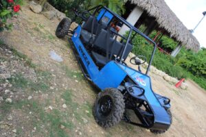 Classic Buggy